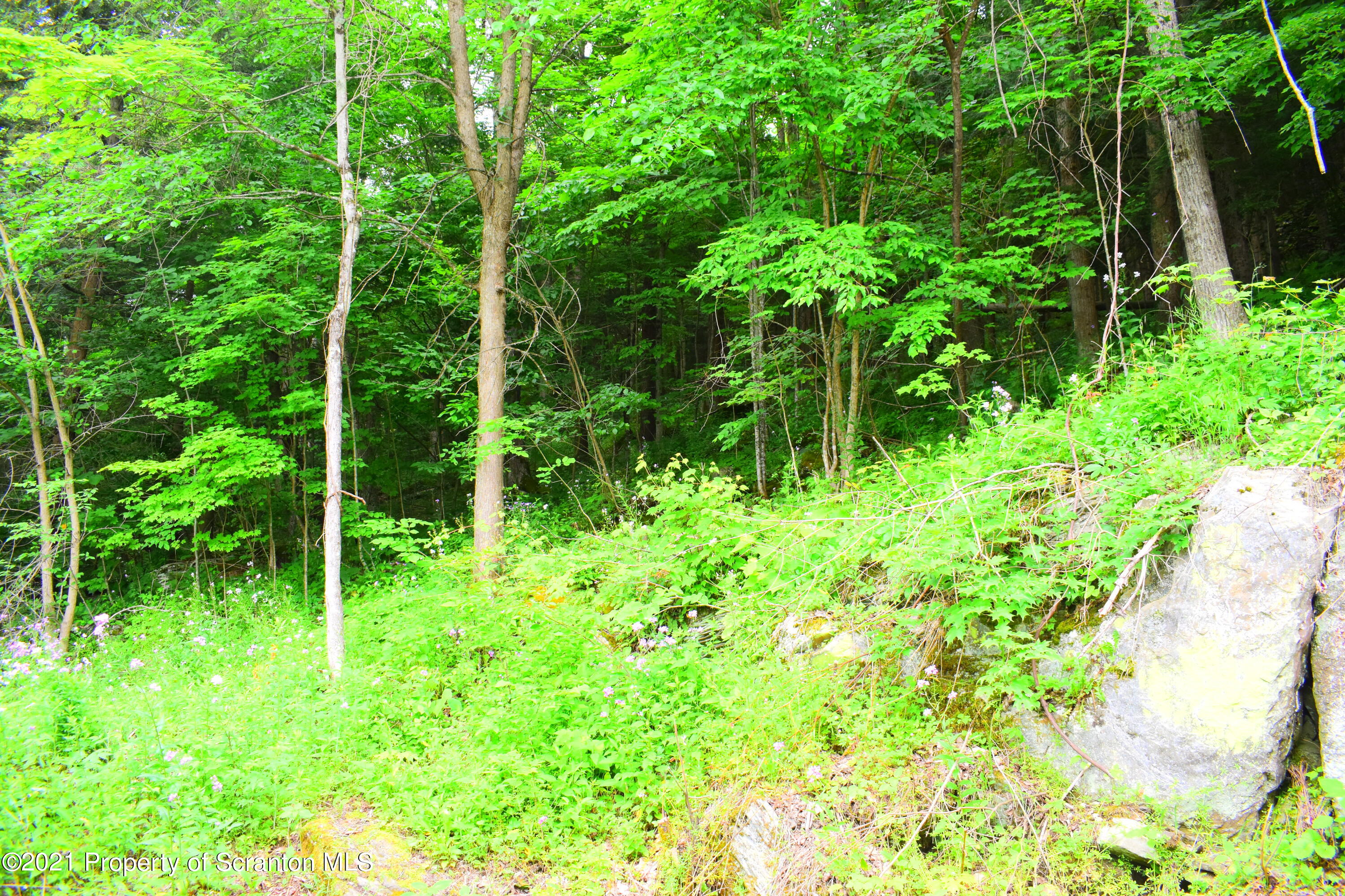 386 Maloney Hl Road Nicholson, PA 18446 - Photo 42 of 82