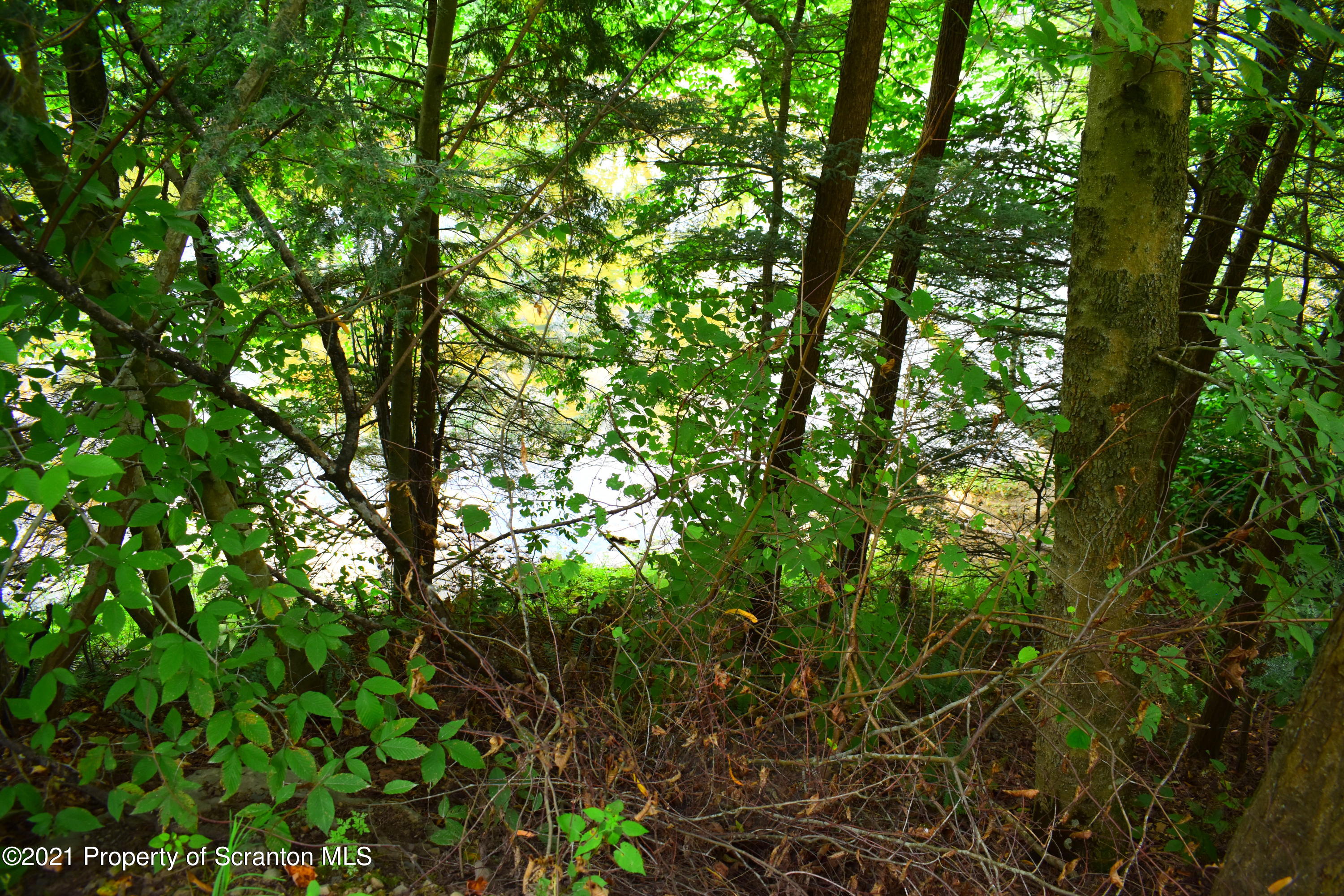 386 Maloney Hl Road Nicholson, PA 18446 - Photo 78 of 82