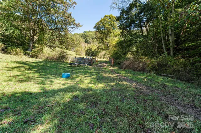 a big yard with lots of green space and plants