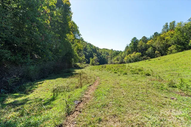 a view of outdoor space and yard