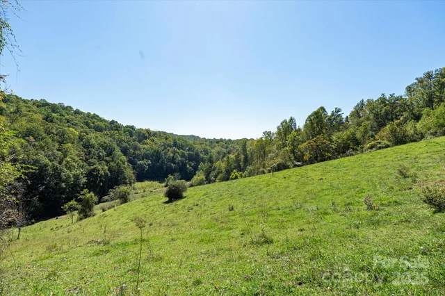 a view of a field with a tree in the background