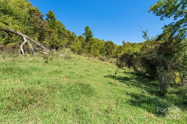 a view of a lush green space