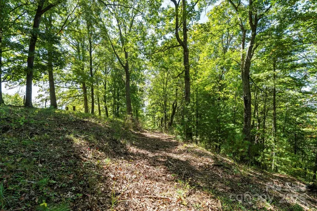 a view of outdoor space and trees