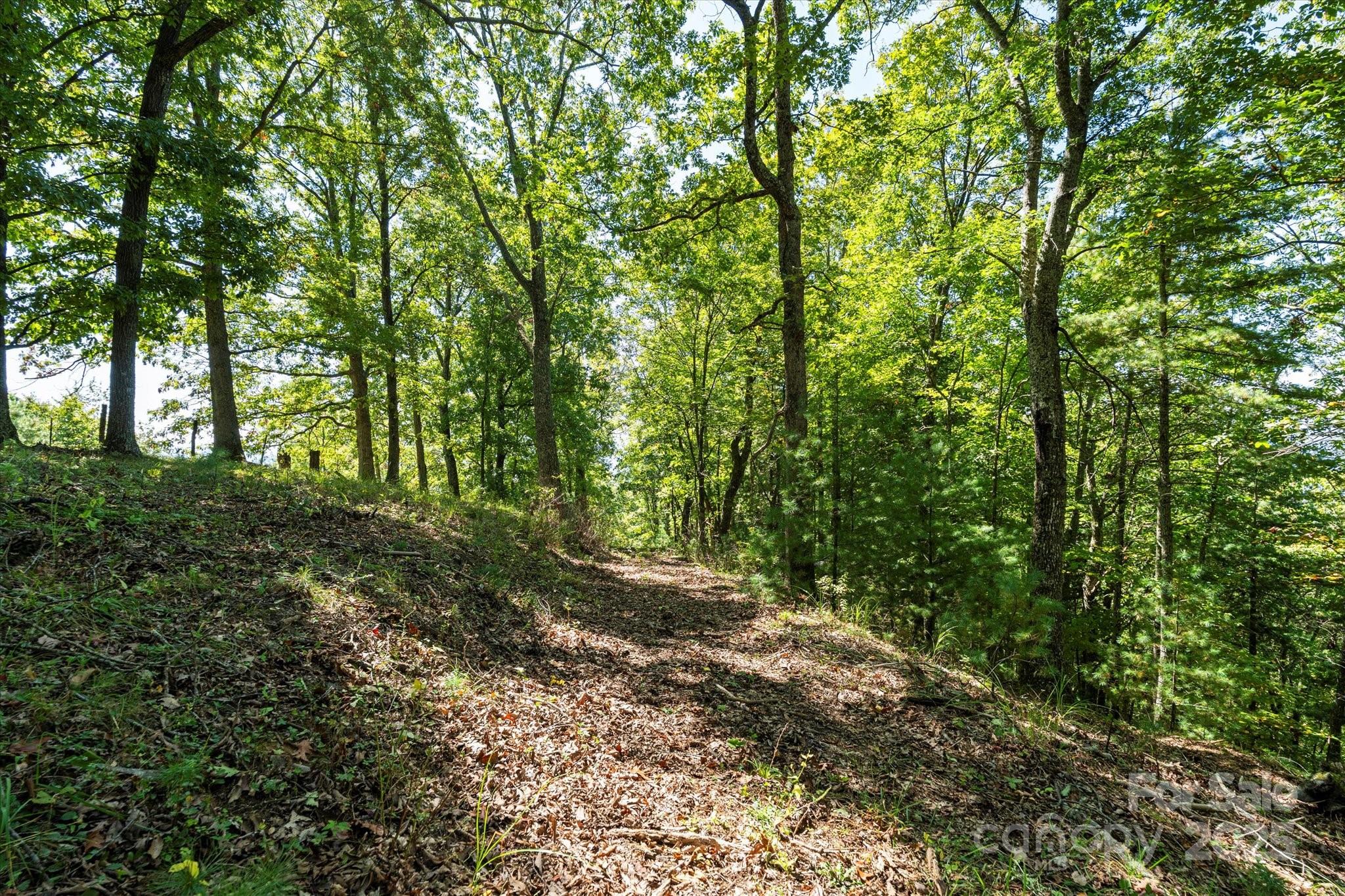 1623 Ammons Branch Road Marshall, NC 28753 - Photo 23 of 41