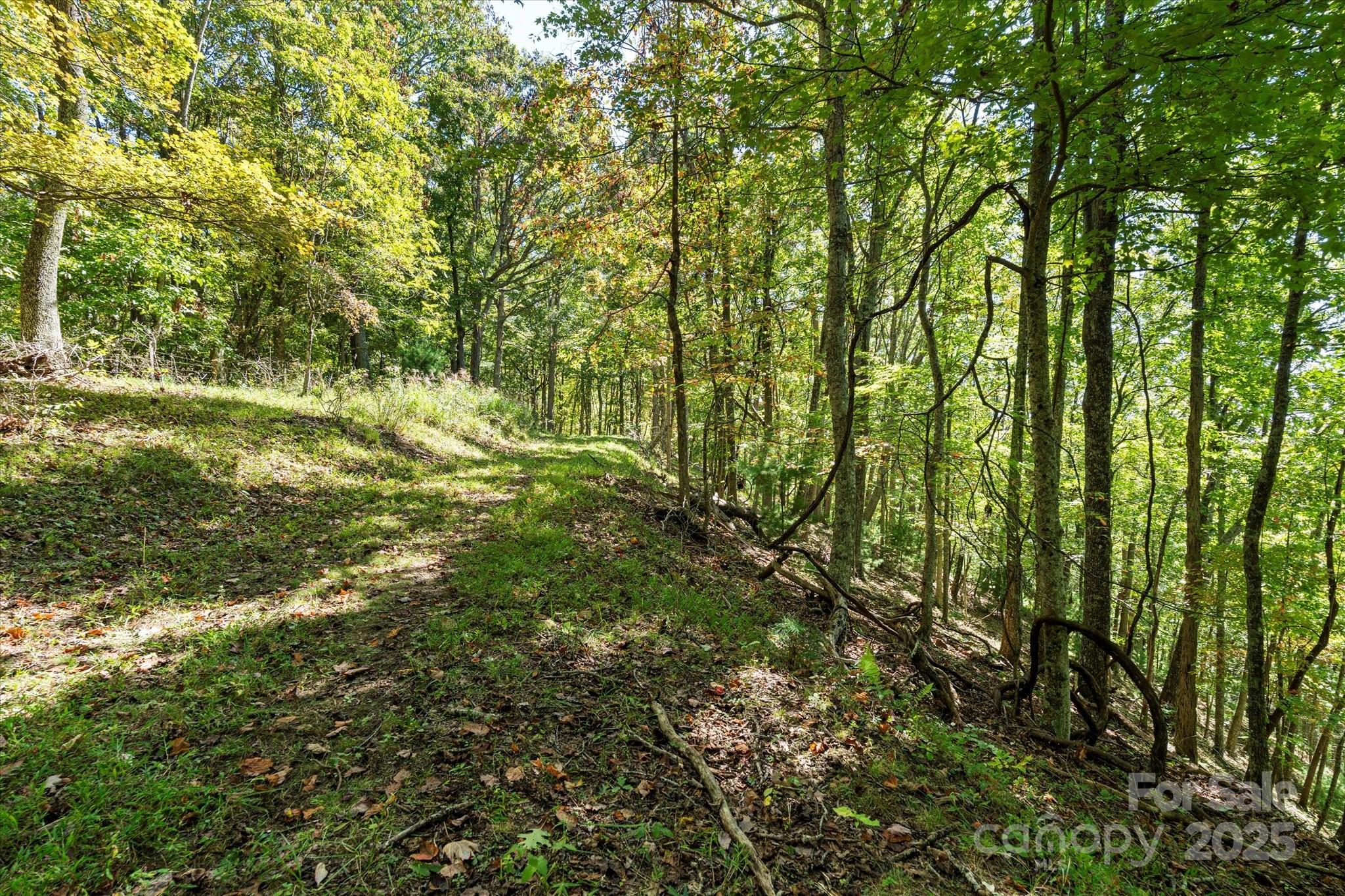 1623 Ammons Branch Road Marshall, NC 28753 - Photo 25 of 41