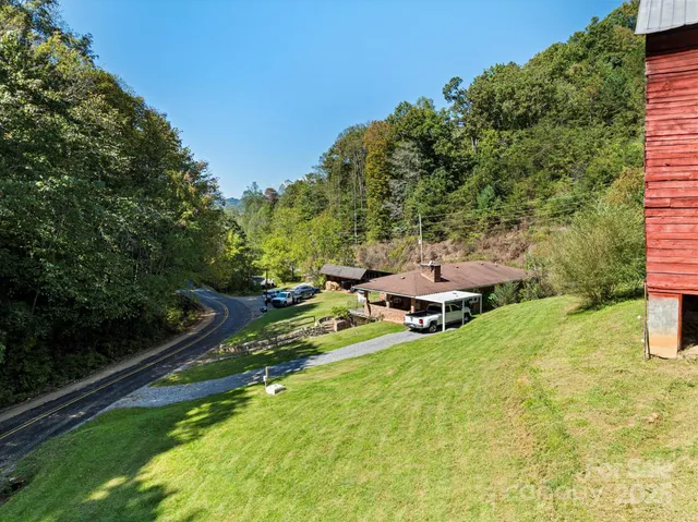 a garden with trees in the background