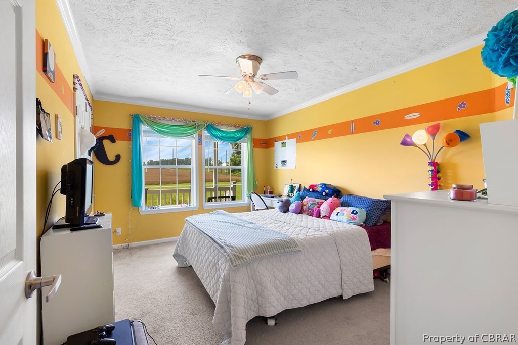 595 Walmsley Road Callao, VA 22435 - Photo 20 of 36 Gallery Image 20