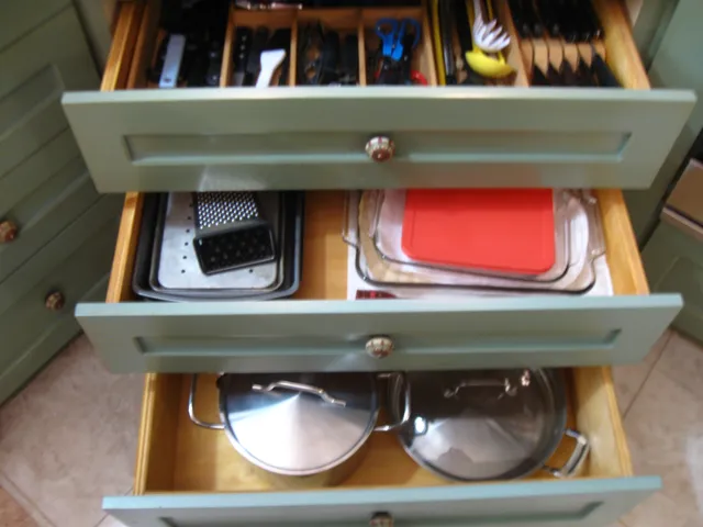 a view of a backyard with plants and a garden