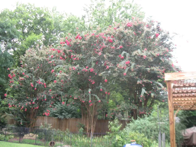 $348,000 | 1003 Lawndale Drive, Murfreesboro, TN 37129