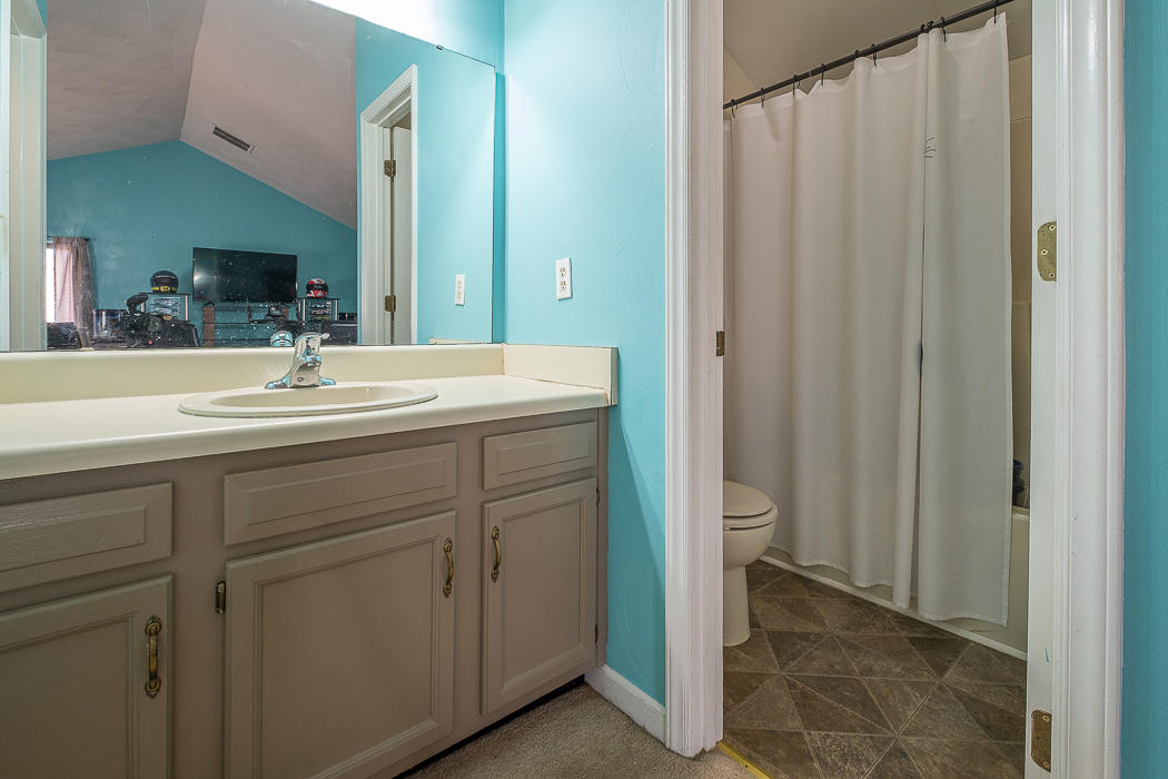 3327 Forest Ridge Road Roanoke, VA 24018 - Photo 25 of 31 a en suite bathroom with a sink a mirror and a shower