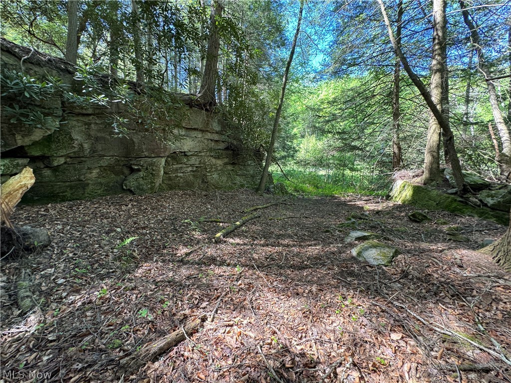 1185 Bens Run Road Sutton, WV 26601 - Photo 20 of 48 View of nature