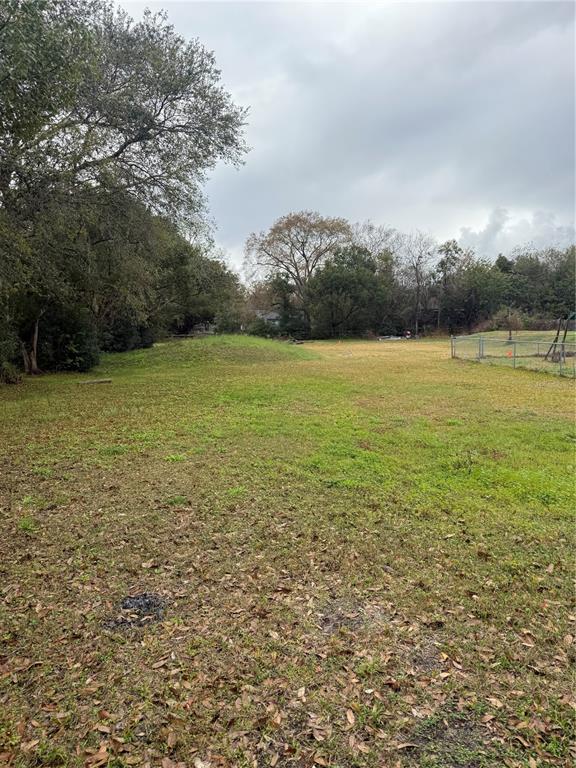 310 Grape Avenue St. Cloud, FL 34769 - Photo 4 of 27 a view of an ocean from a yard