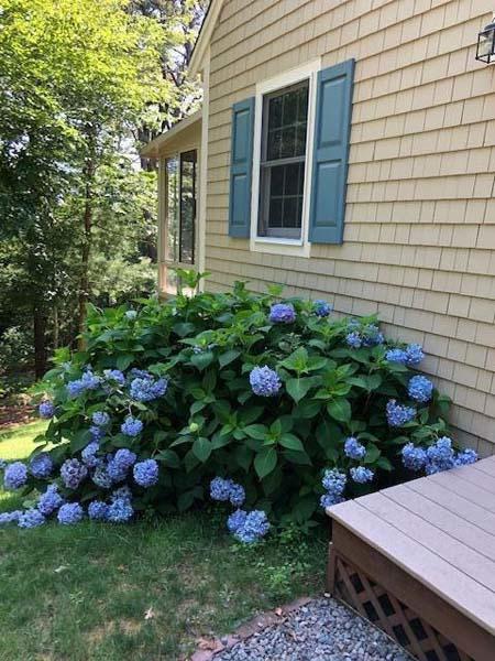 31 Ridge Top Road Cotuit, MA 02635 - Photo 27 of 39 20210811143223206078000000-o