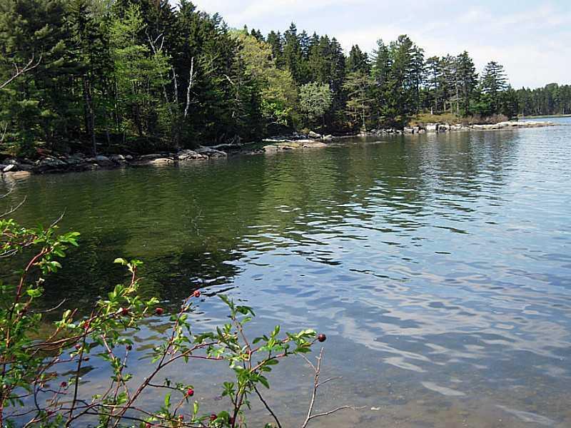 320 Wallston Road Tenants Harbor, ME 04860 - Photo 8 of 25 The cove at high tide!