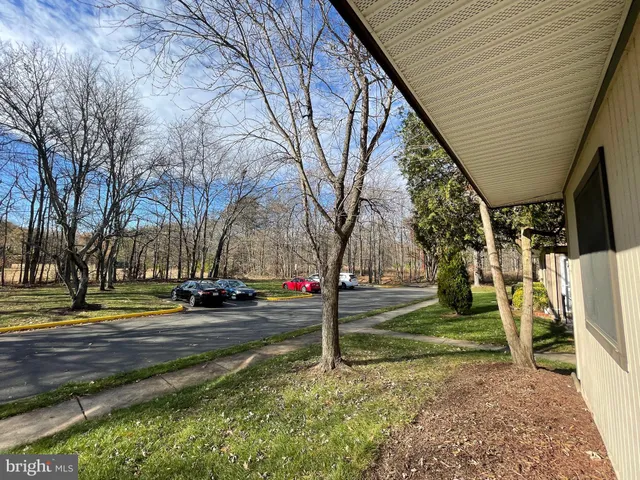 a view of a park with tree s