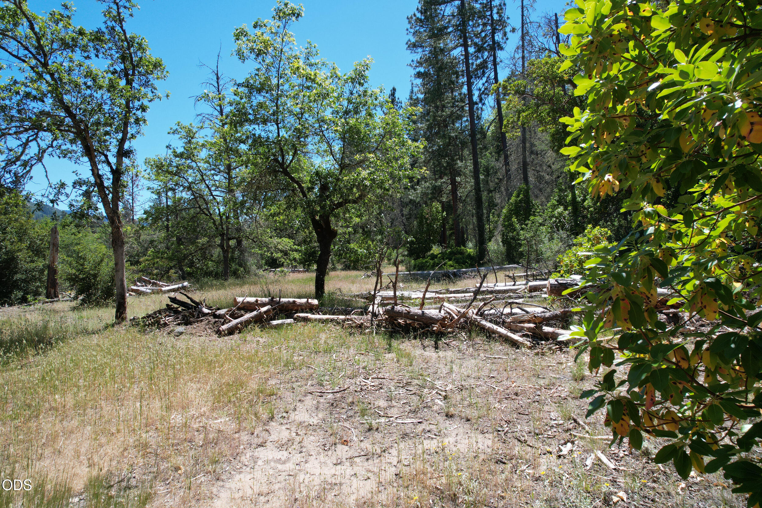 Kinney Cr Road, Unit 400 Jacksonville, OR 97530 - Photo 21 of 21