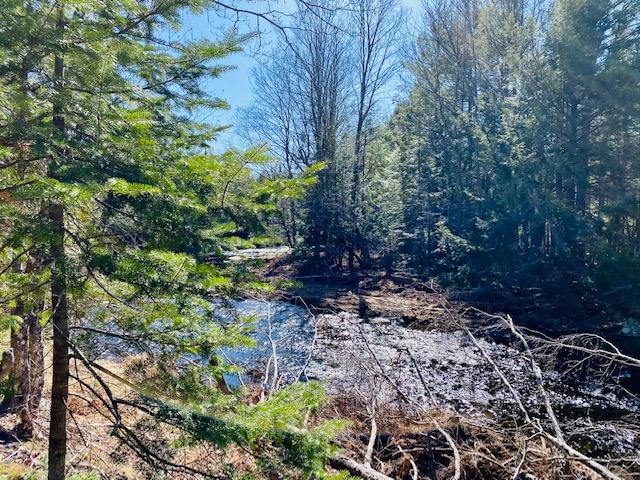 0 Bud Grant Road Monroe, ME 04951 - Photo 16 of 17 IMG_2729
