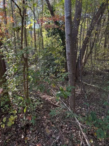 $100,000 | 1265 Moorfield Trace Northwest, Kennesaw, GA 30152