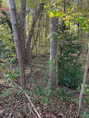 $100,000 | 1265 Moorfield Trace Northwest, Kennesaw, GA 30152