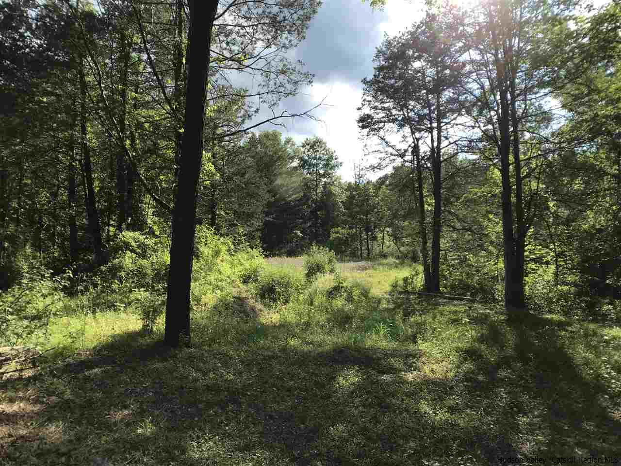 394 Marcott Road Cottekill, NY 12419 - Photo 6 of 11 Photo 6