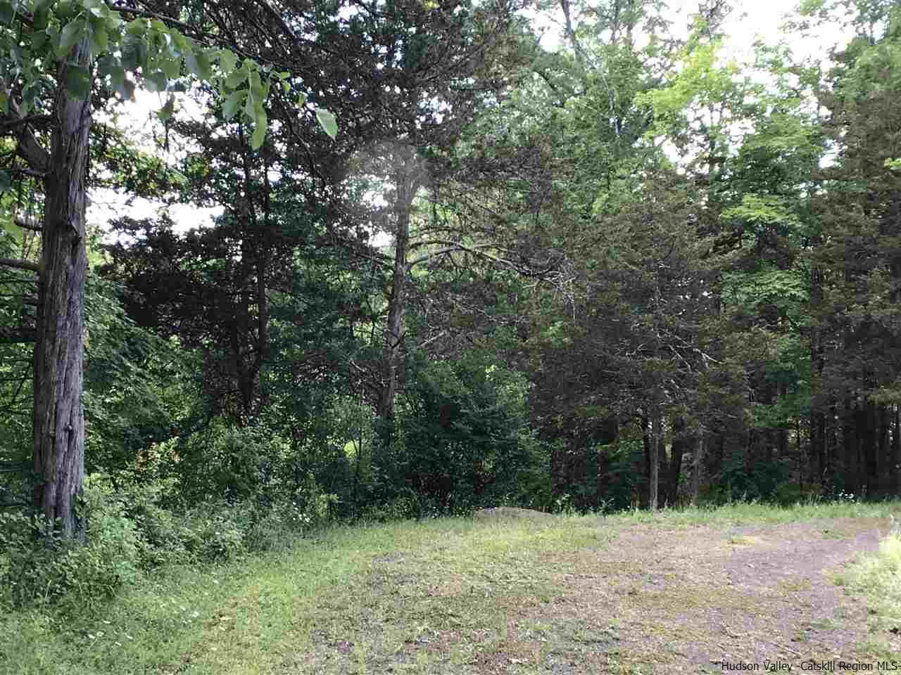 394 Marcott Road Cottekill, NY 12419 - Photo 9 of 11 Photo 9