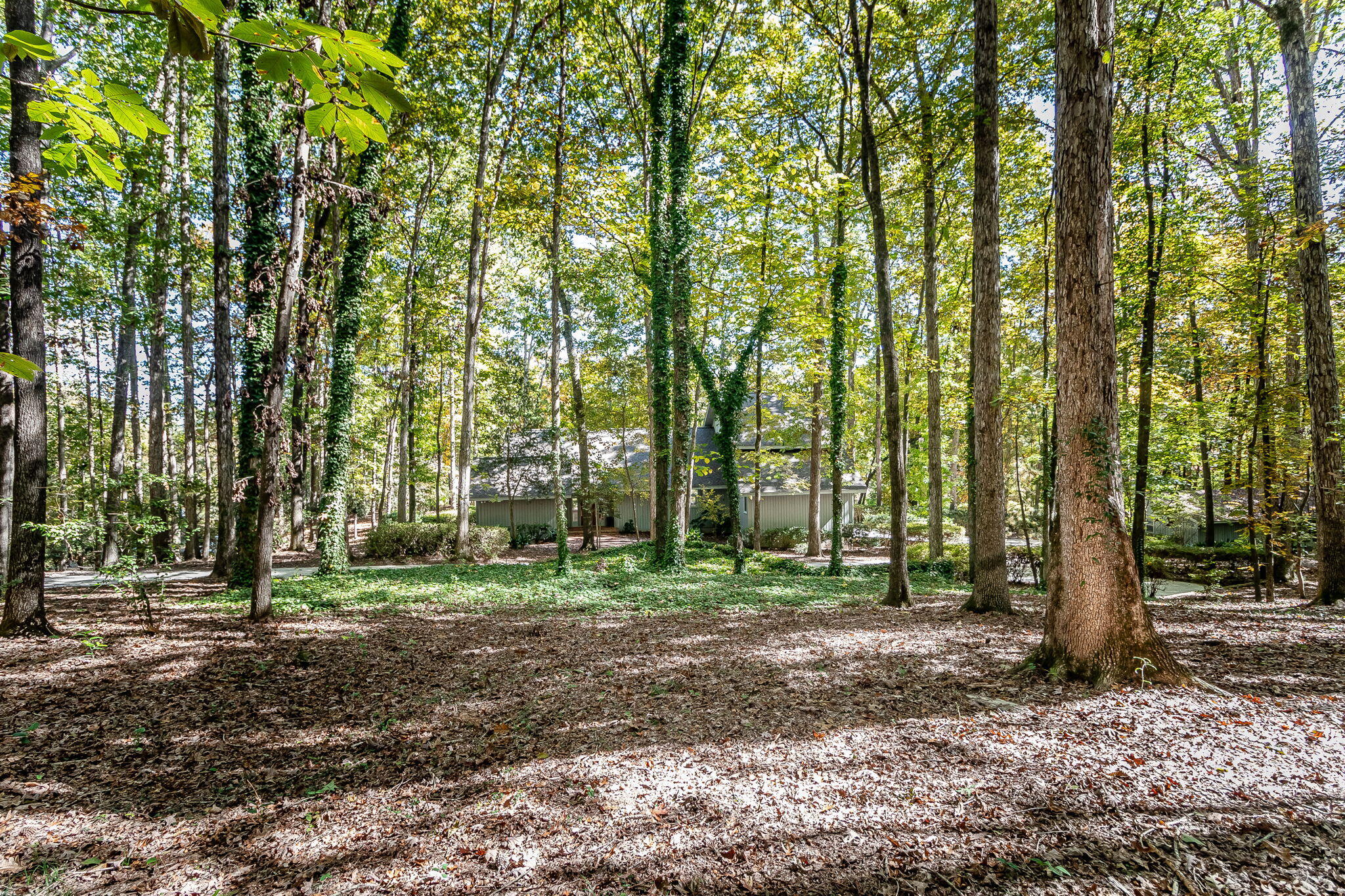 189 Watervale Road Martinez, GA 30907 - Photo 8 of 59 10-web-or-mls-189 WATERVALE RD ©-9712