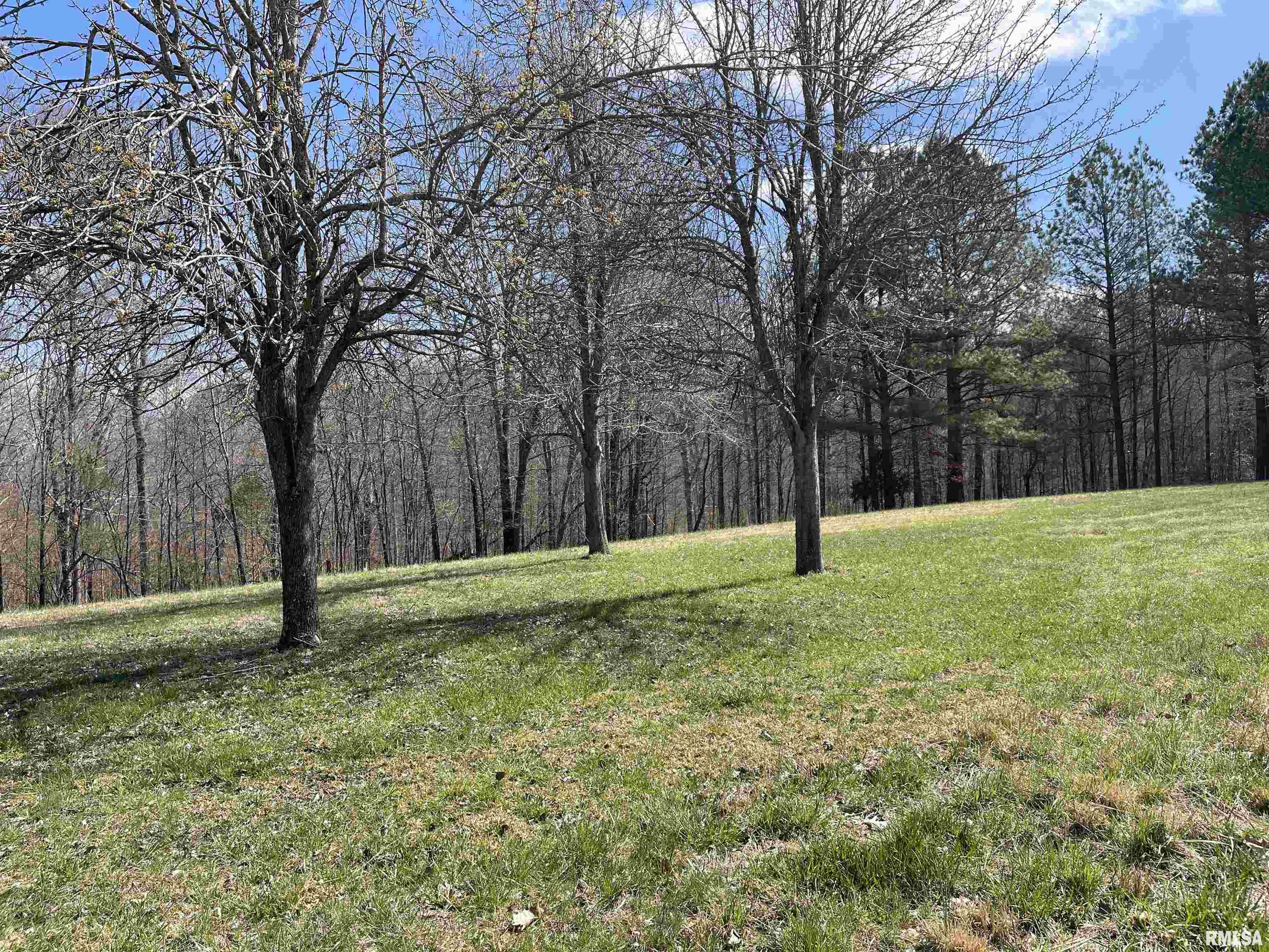 233 Sulphur Springs Road Golconda, IL 62938 - Photo 60 of 98 Gallery Image 60
