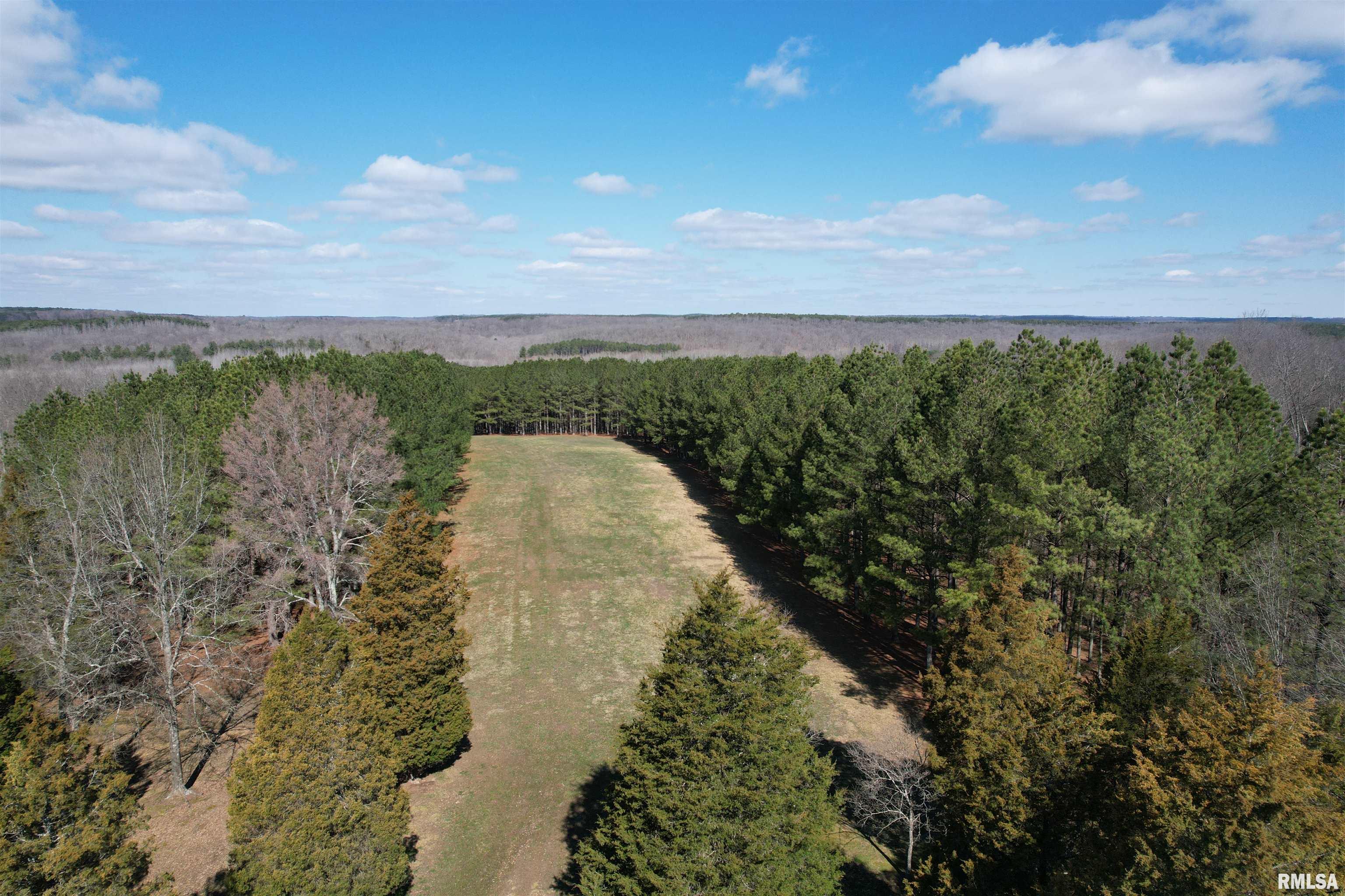 233 Sulphur Springs Road Golconda, IL 62938 - Photo 7 of 98 Gallery Image 7