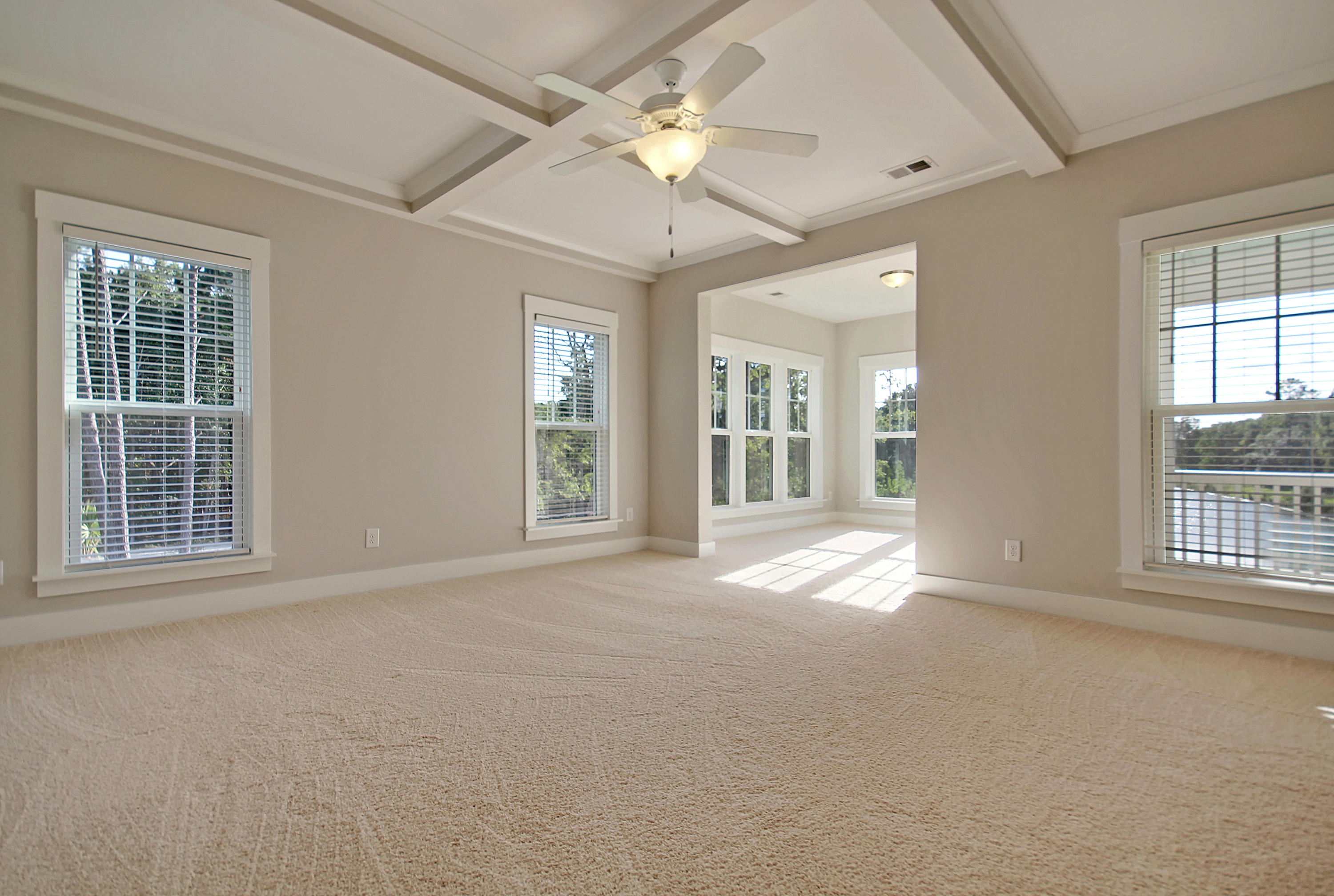 493 Woodspring Road Mount Pleasant, SC 29466 - Photo 40 of 78 Coffered Ceilings in Master