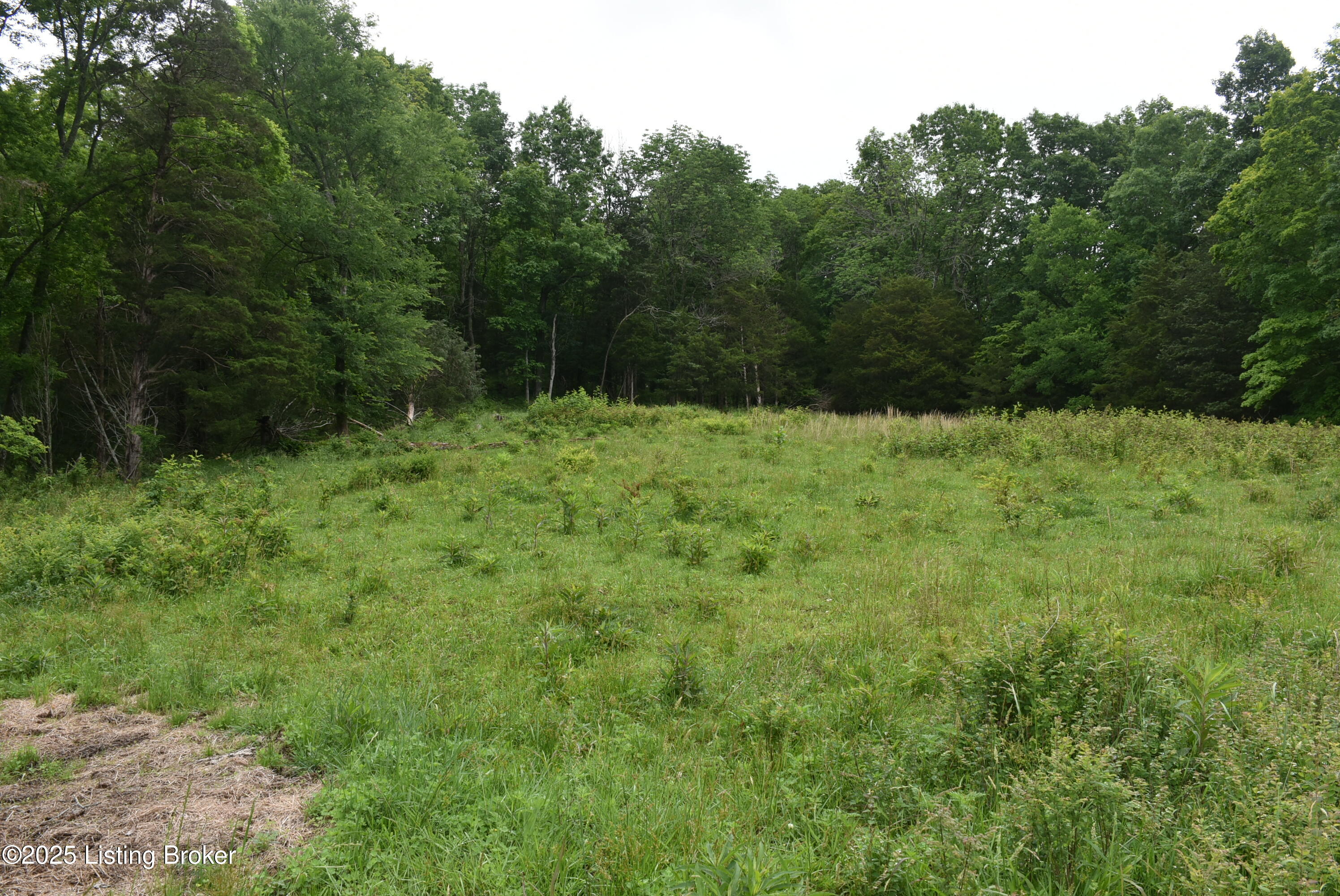 0 Bridgeport Road Edmonton, KY 42129 - Photo 11 of 22 DSC_9179