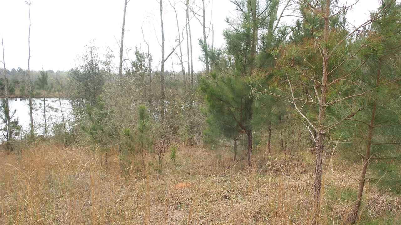 1780 Buck Smith Road Century, FL 32535 - Photo 12 of 17 Gallery Image 12