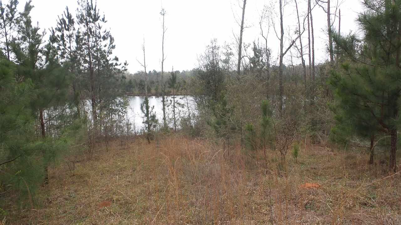 1780 Buck Smith Road Century, FL 32535 - Photo 13 of 17 Gallery Image 13