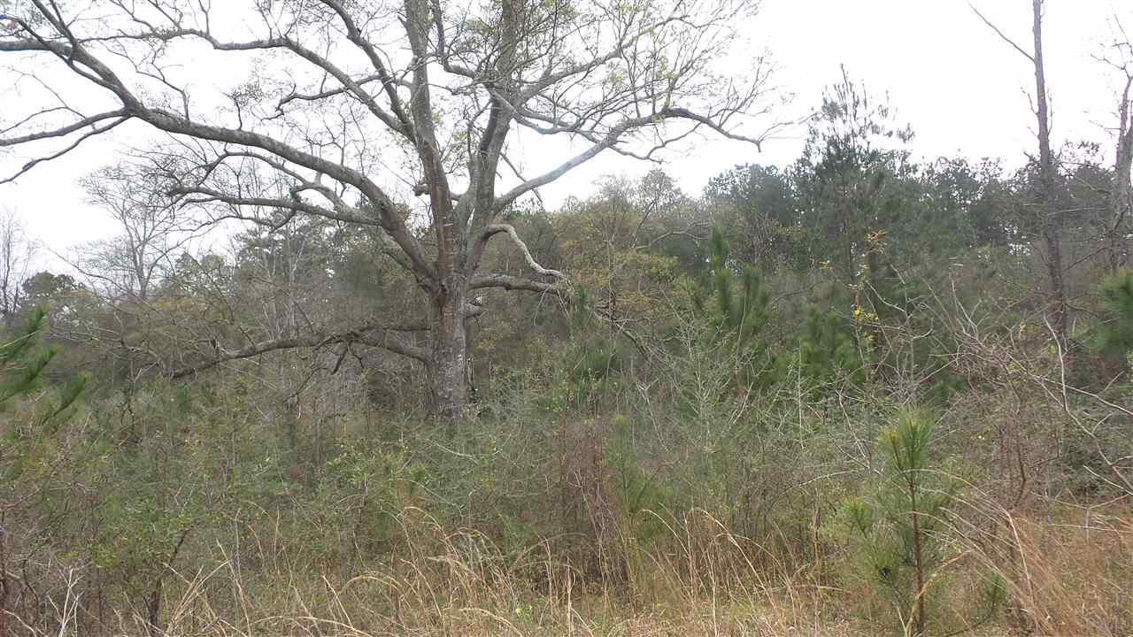 1780 Buck Smith Road Century, FL 32535 - Photo 14 of 17 Gallery Image 14