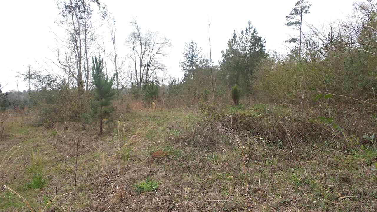 1780 Buck Smith Road Century, FL 32535 - Photo 3 of 17 Gallery Image 3