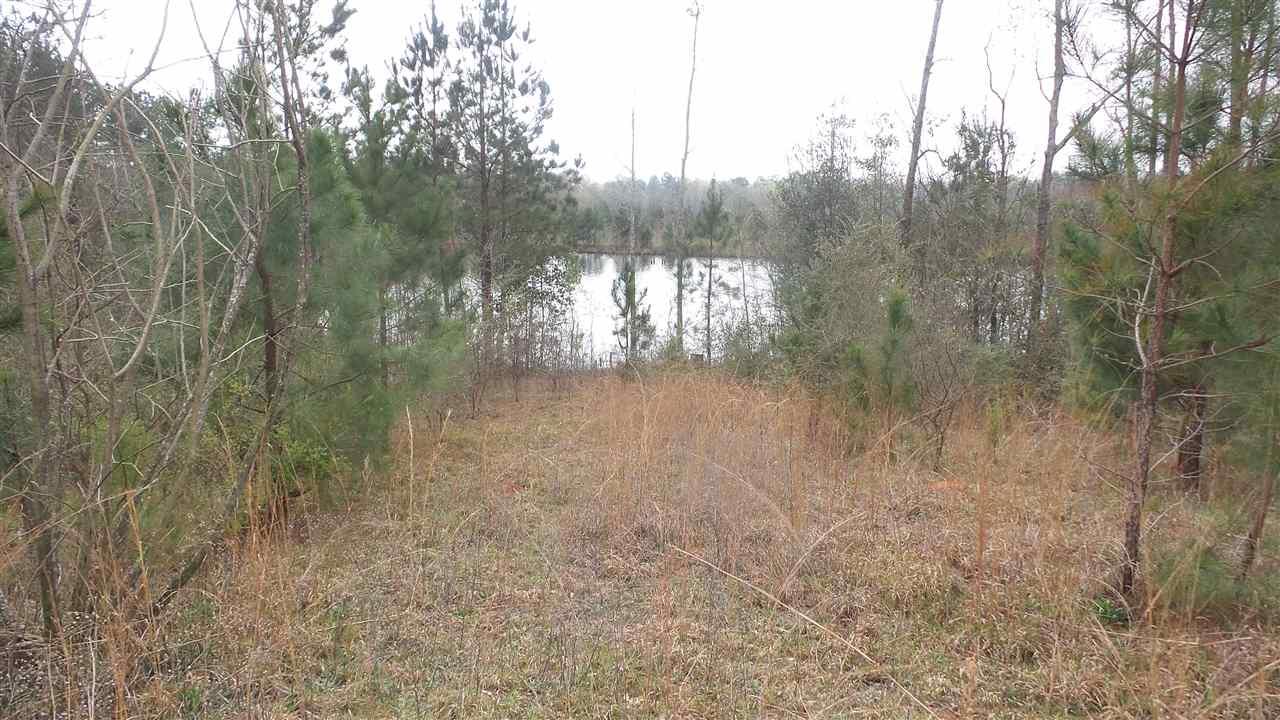 1780 Buck Smith Road Century, FL 32535 - Photo 5 of 17 Gallery Image 5