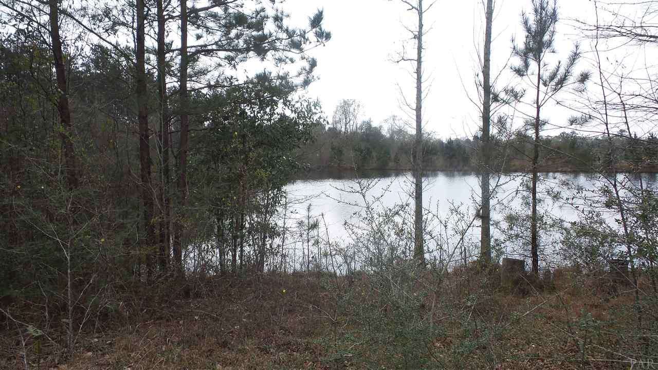 1780 Buck Smith Road Century, FL 32535 - Photo 7 of 17 Gallery Image 7