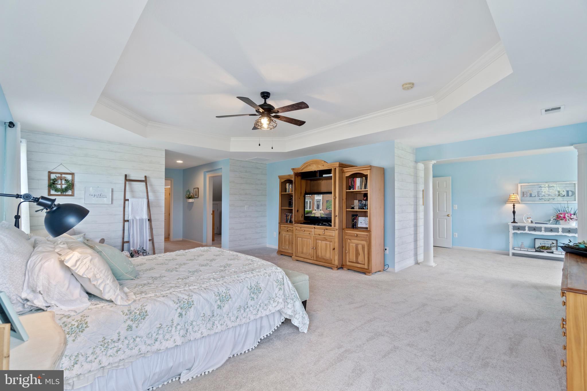 4650 Spring Run Road Warrenton, VA 20187 - Photo 21 of 58 Primary Suite with Tray Ceiling