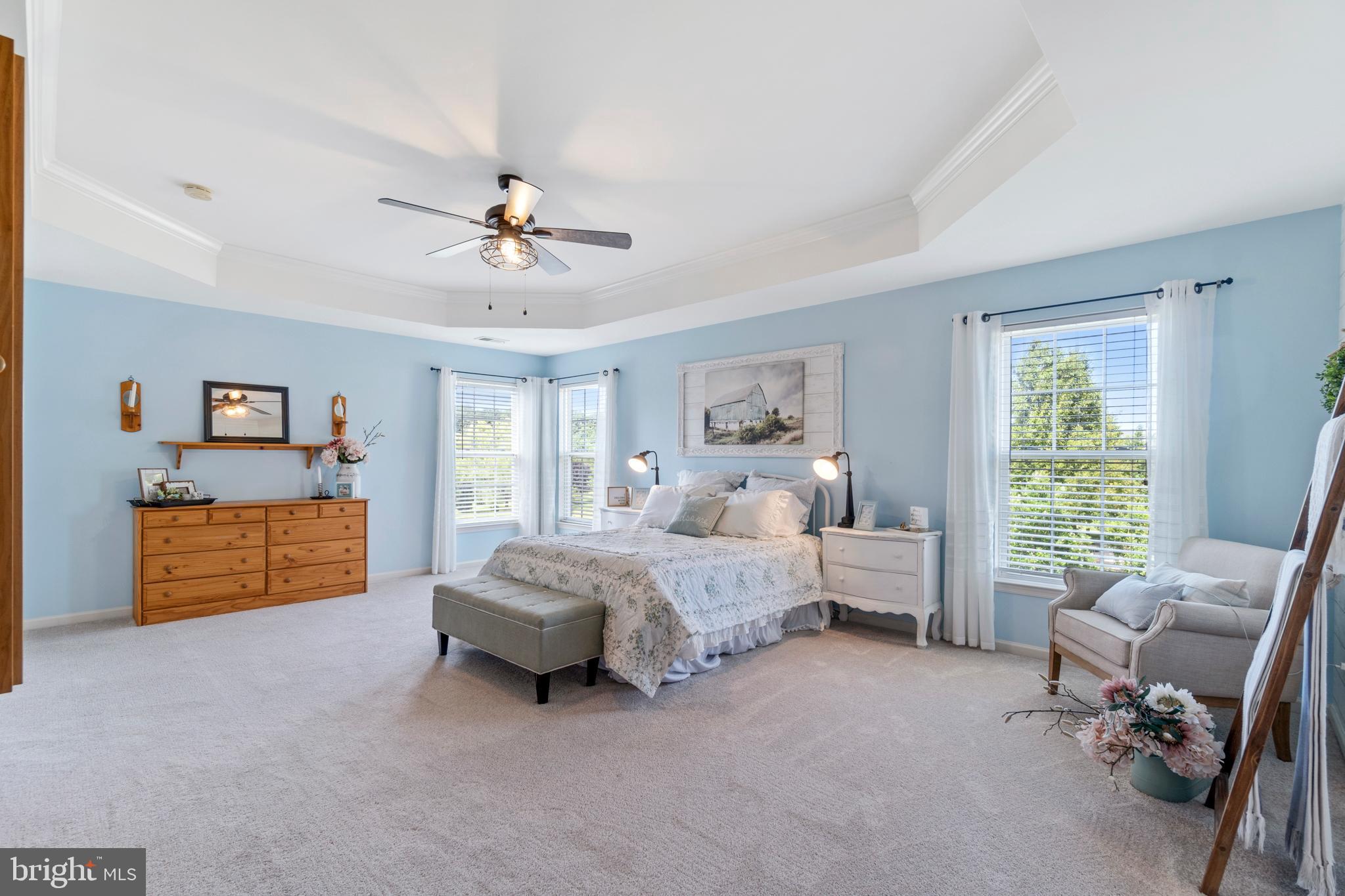 4650 Spring Run Road Warrenton, VA 20187 - Photo 24 of 58 Primary Suite with Tray Ceiling