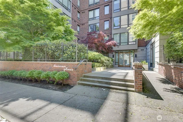 a view of a garden with plants