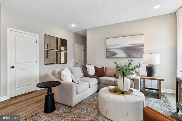 a living room with furniture and a potted plant