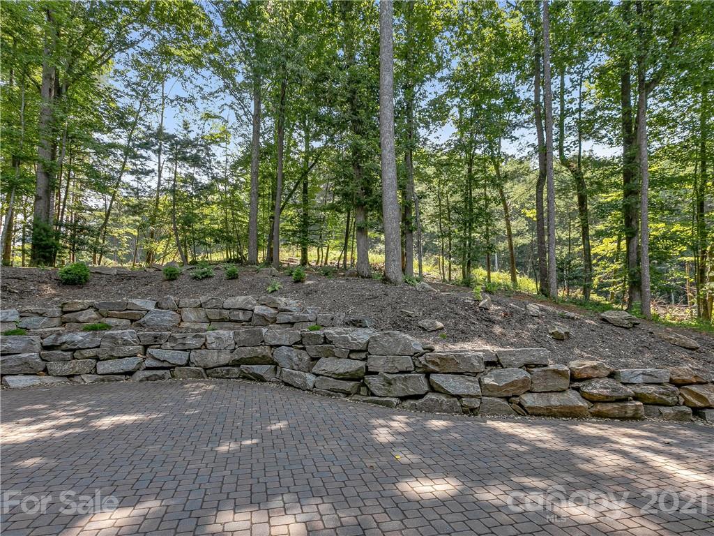 42 Dividing Ridge Trail Arden, NC 28704 - Photo 4 of 48 Gallery Image 4