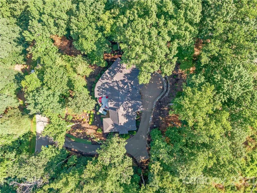 42 Dividing Ridge Trail Arden, NC 28704 - Photo 45 of 48 Gallery Image 45