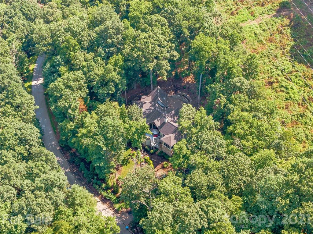 42 Dividing Ridge Trail Arden, NC 28704 - Photo 46 of 48 Gallery Image 46
