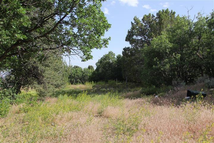 491.34-ac Mineral Spring Road Mount Carmel, UT 84755 - Photo 39 of 43 20260730223246188155000000-o