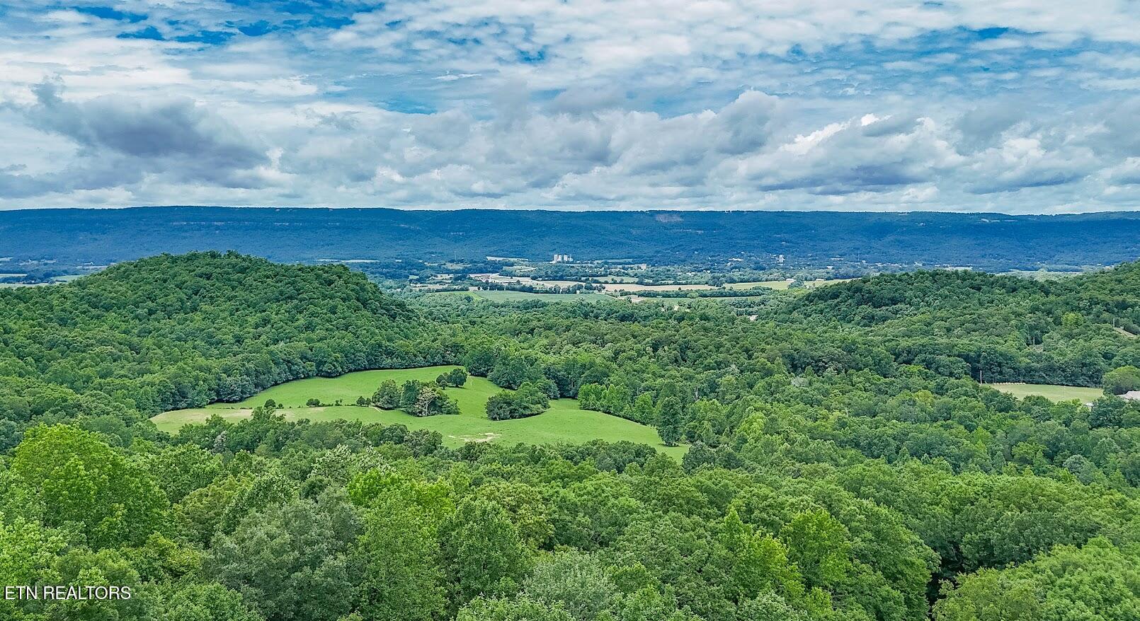 701 Cherokee Ridge Road Pikeville, TN 37367 - Photo 52 of 60 57701