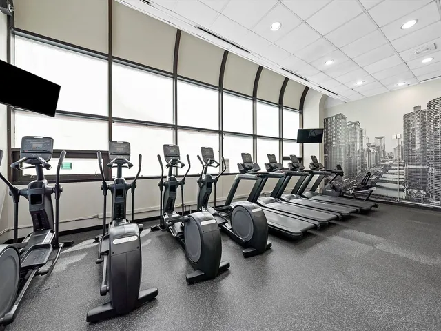 $3,900 | 211 East Ohio Street, Unit 307, Chicago, IL 60611