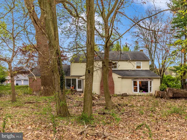 a view of a backyard with tree
