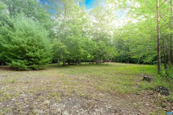 a view of a field with a trees