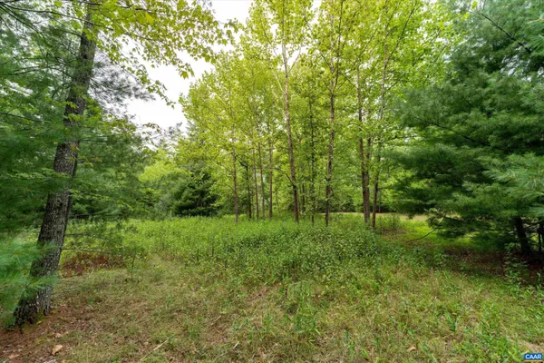 a view of a lush green space