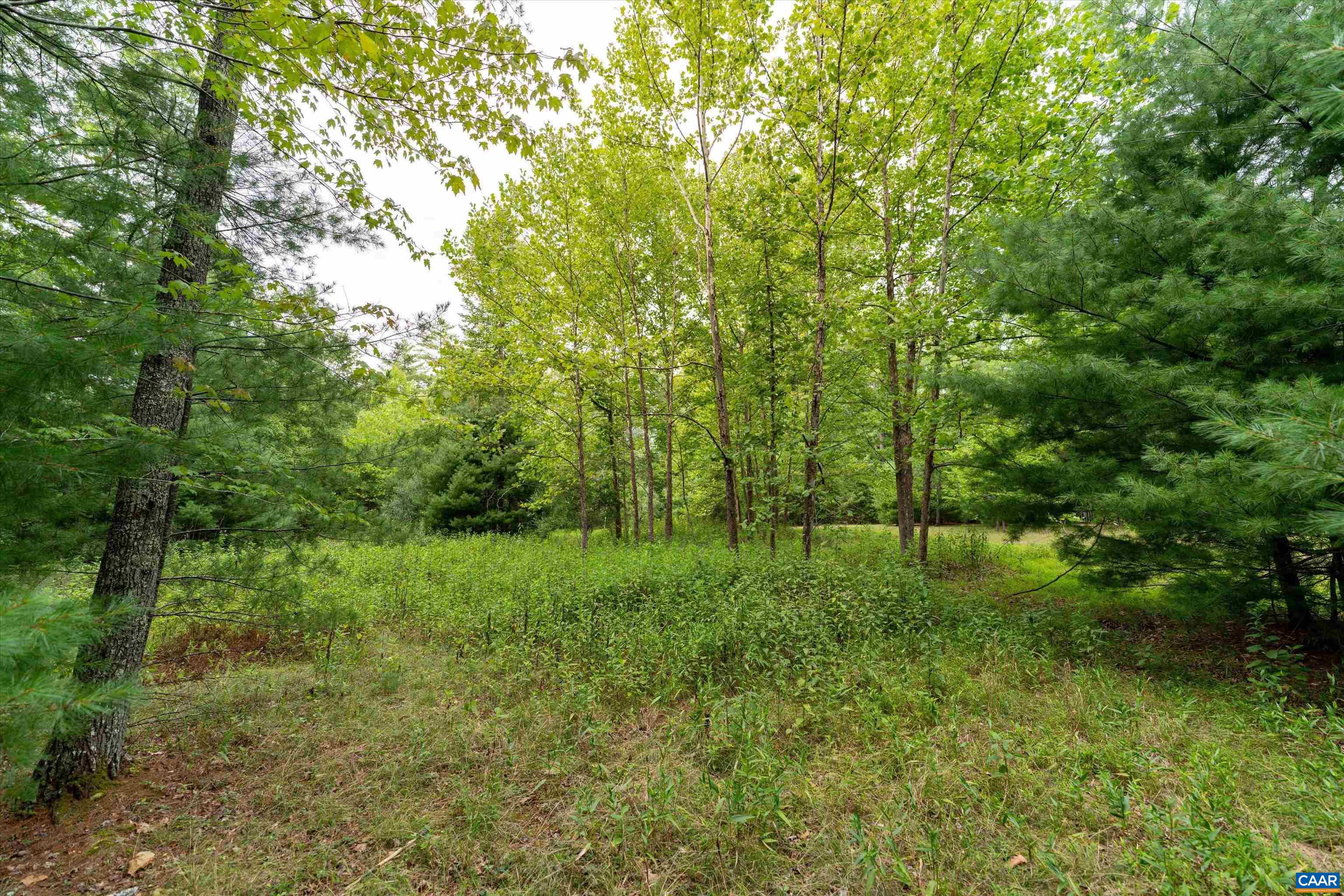 277 Coffee Pot Road Millboro, VA 24460 - Photo 25 of 27